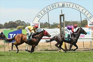Turf Champion wins at Werribee on 5-01-2017, ridden by Mark Zahra Turf Champion wins at Werribee on 5-01-2017, ridden by Mark Zahra